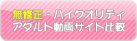 無修正・ハイクオリティ　アダルト動画サイト比較＆ランキング